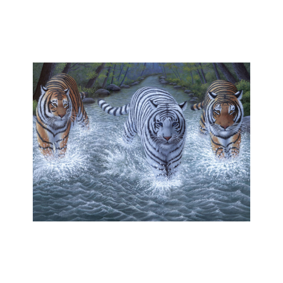 E-shop Malování velké Royal Tři tygři