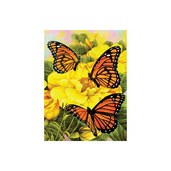 Malování 22x30cm Motýlci                    