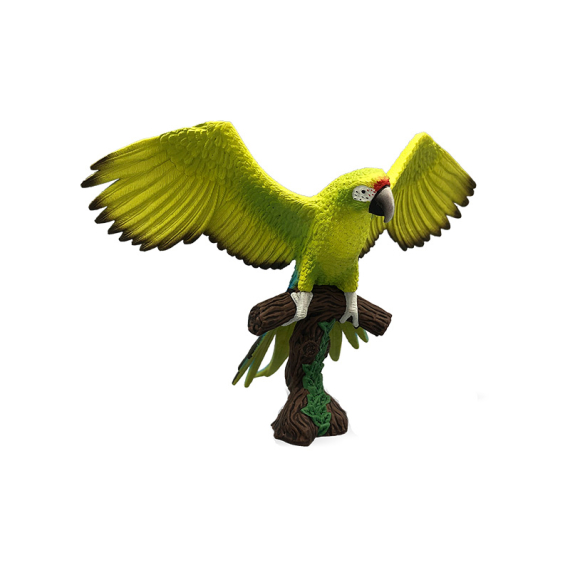 Velký zelený papoušek                    
