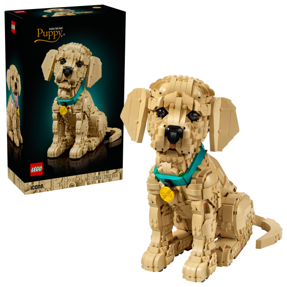 LEGO® 11384 Icons Štěně zlatého retrívra                    