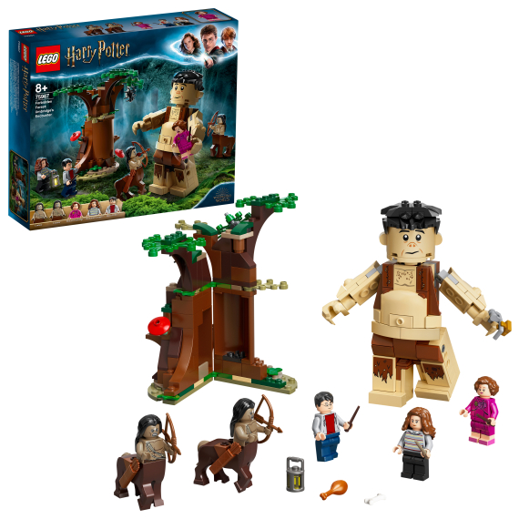 LEGO® Harry Potter™ 75967 Zapovězený les: Setkání Drápa a profesorky                    