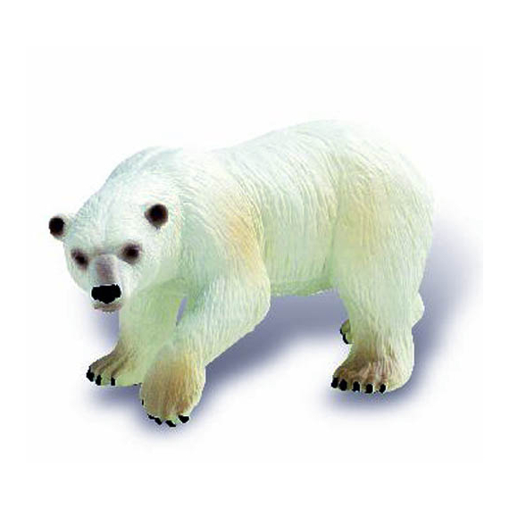 Lední medvěd                    
