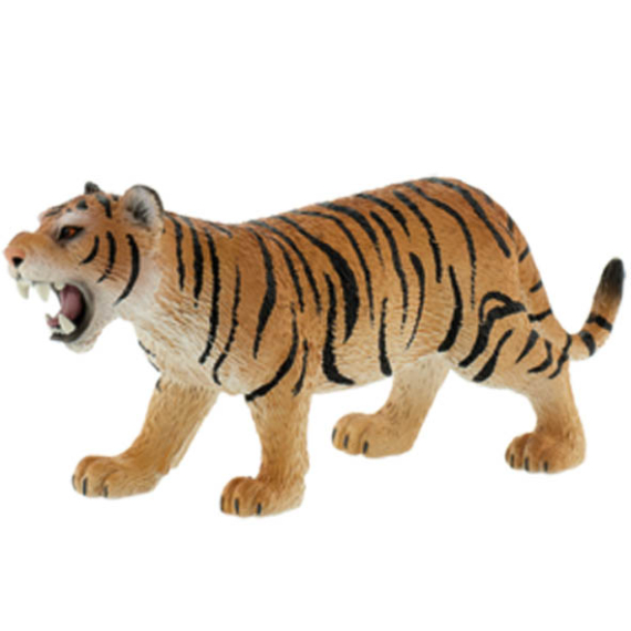 Tygr hnědý                    
