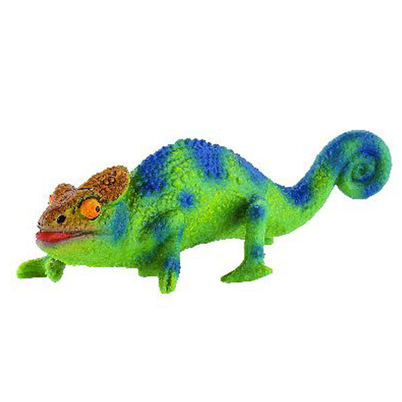 Chameleon                    
