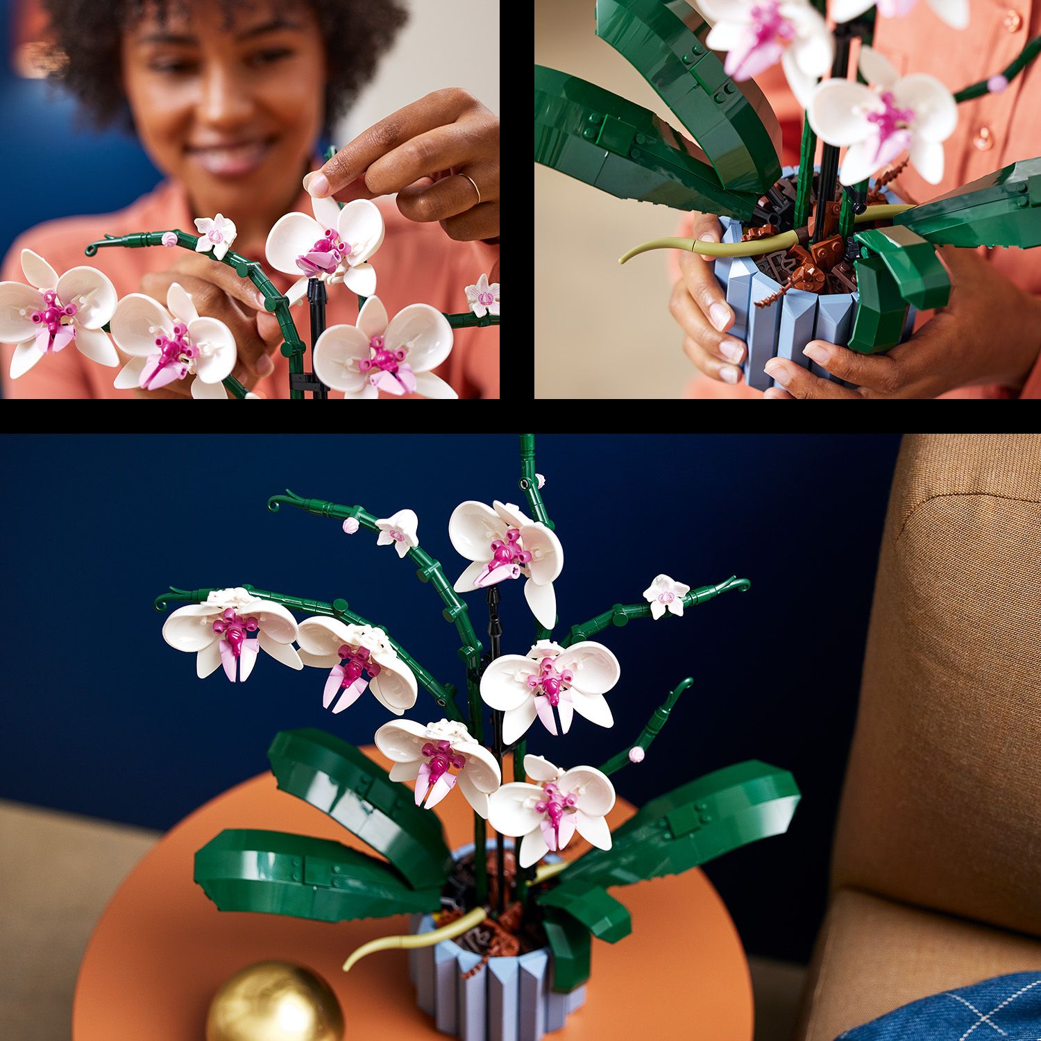 Inspirováno skutečnou orchidejí
